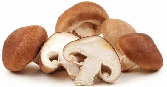 Sveze sitaki pecurke